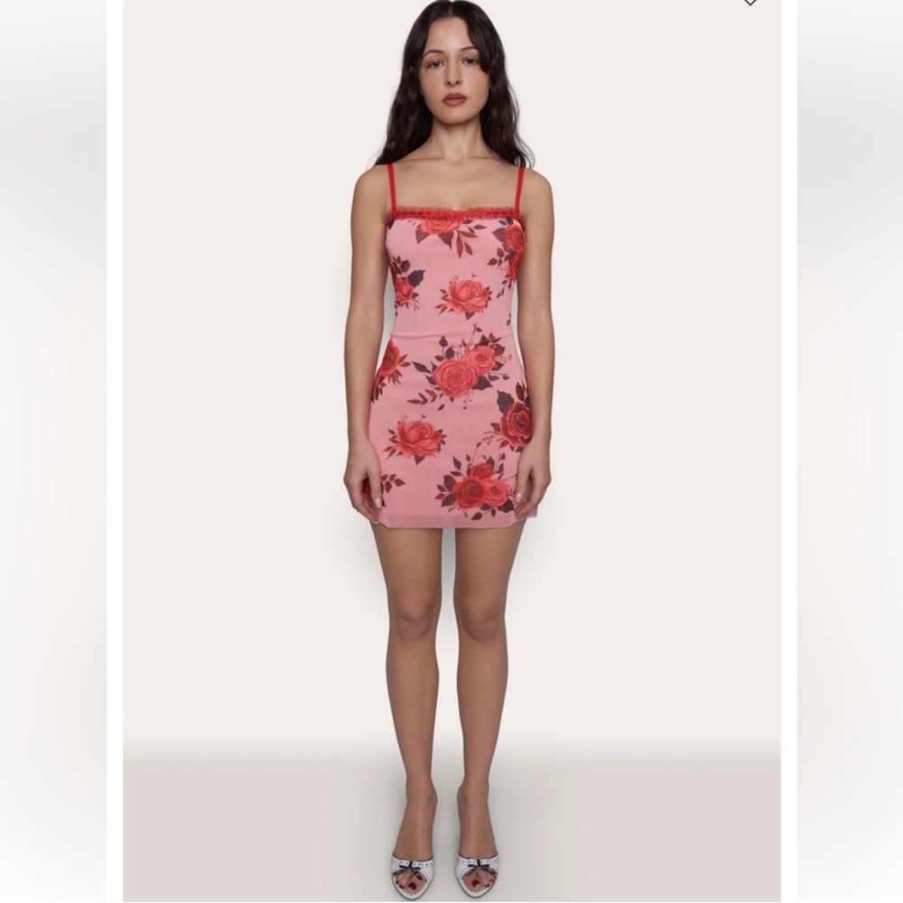 Guizio Mesh Mini Dress